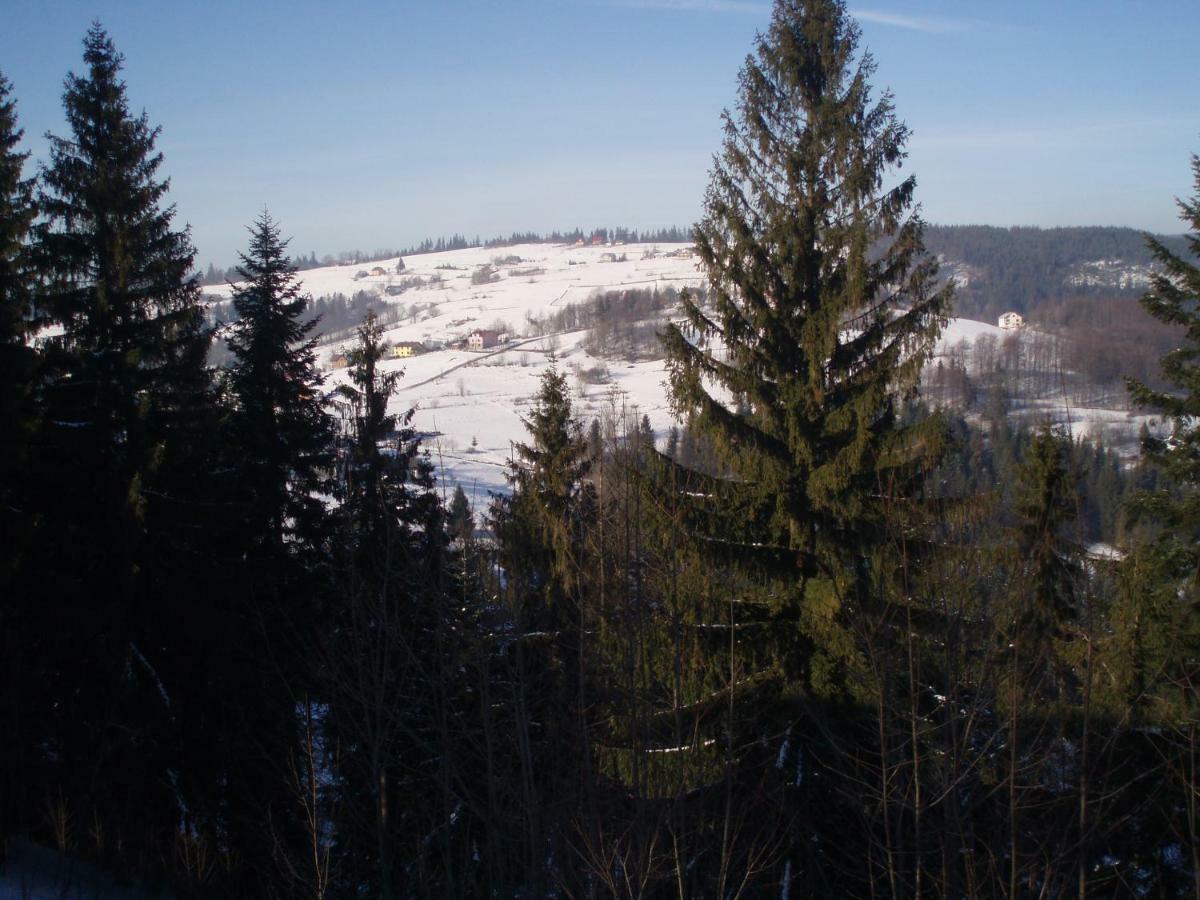 Homestay Koczy Zamek Koniakow